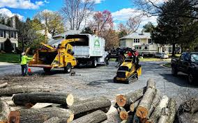 Best Arborist Consultation Services  in Morrow, GA