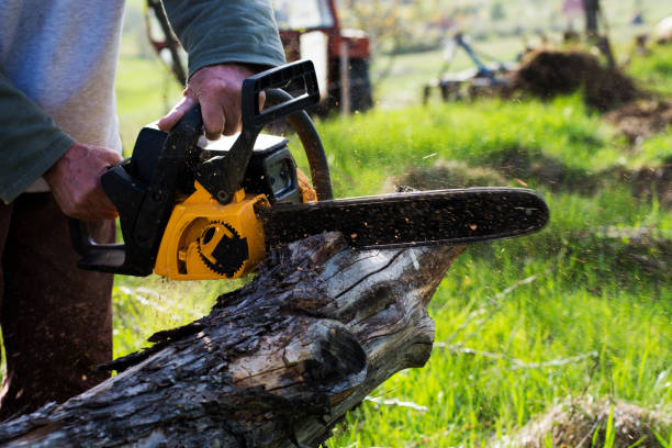 Best Lawn Watering Services  in Morrow, GA